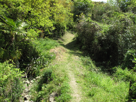 20140426hike (16)